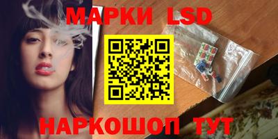 a pvp Новодвинск