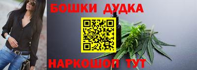 гашик Новокубанск