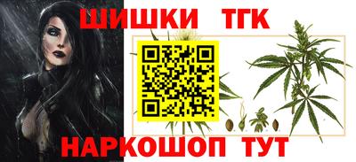 a pvp Новодвинск
