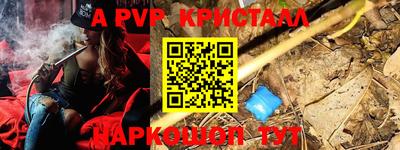 гашик Новокубанск